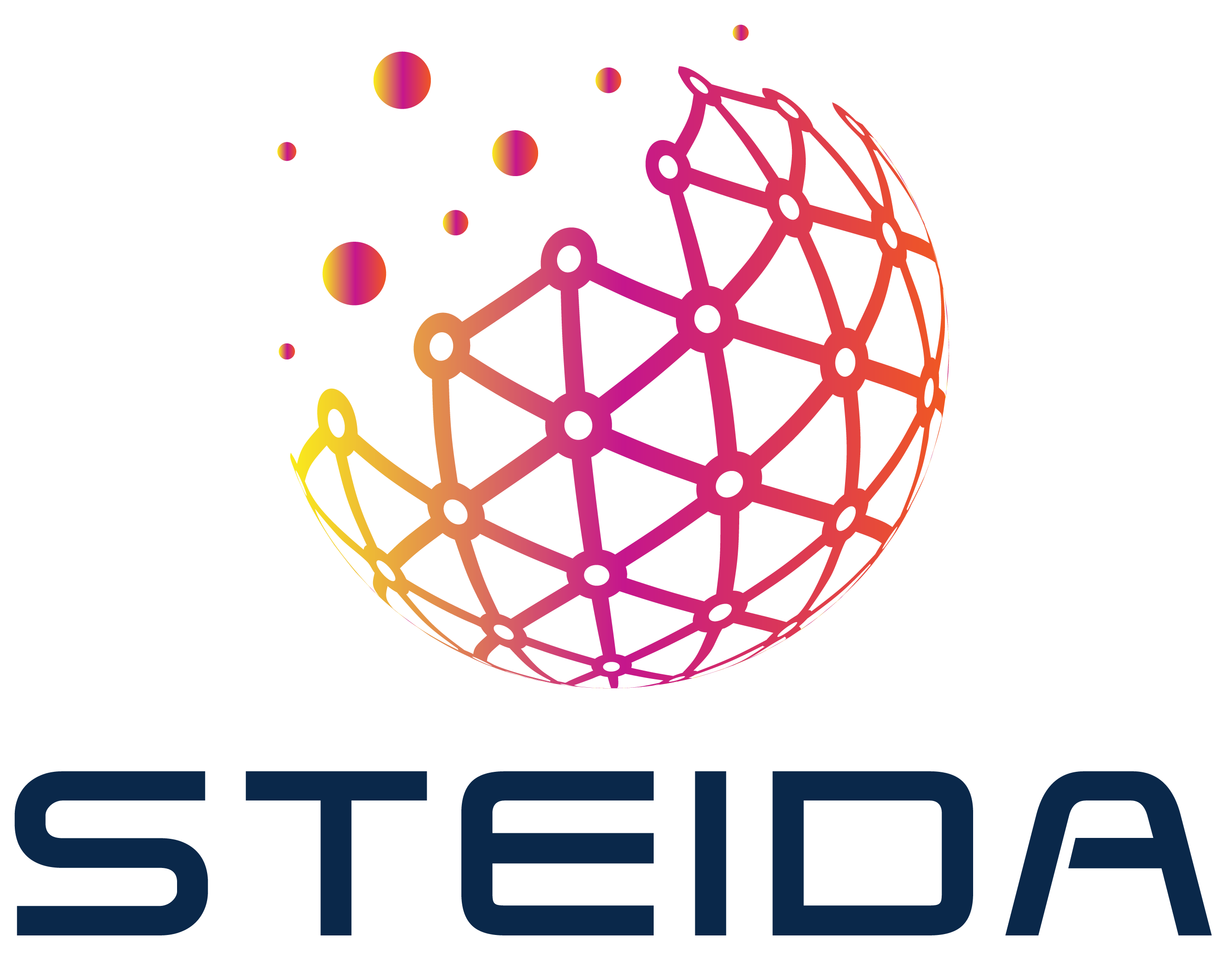 STEIDA.png